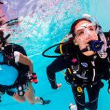Buceo - Imagen 2