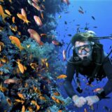 Buceo